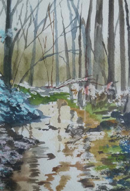 woodland stream